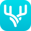 ˳¹appv2.6.2 ���°�