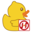 小鸭欢乐采