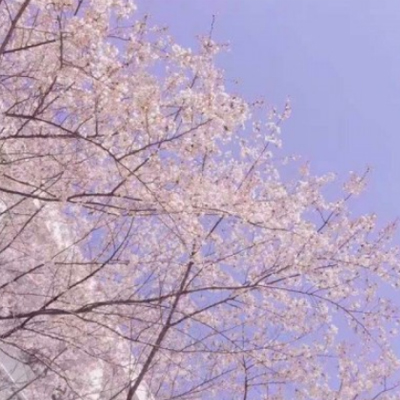 2019������õ�˵˵�簲���� 2���ټ�3�����΢��˵˵��ѡ