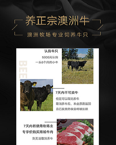 口袋牧场 口袋牧场