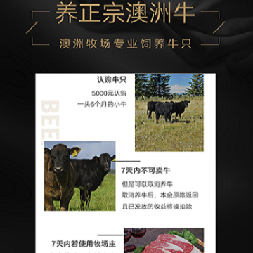 口袋牧场 口袋牧场