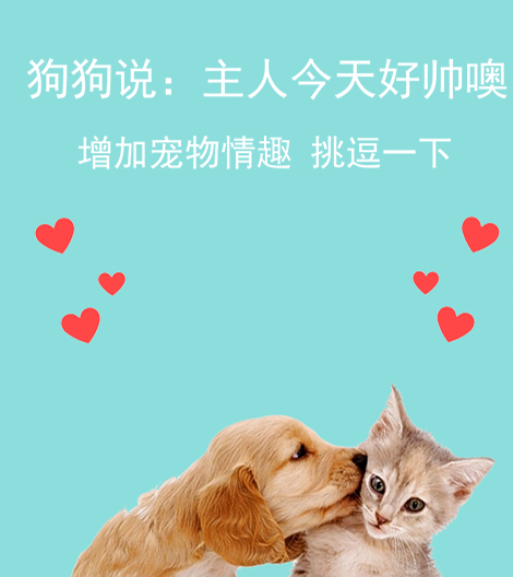 �˹����Է�����