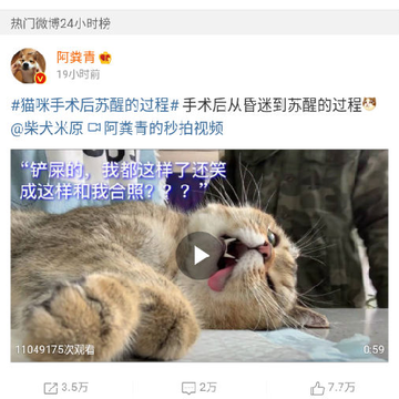 绿网浏览器 绿网浏览器
