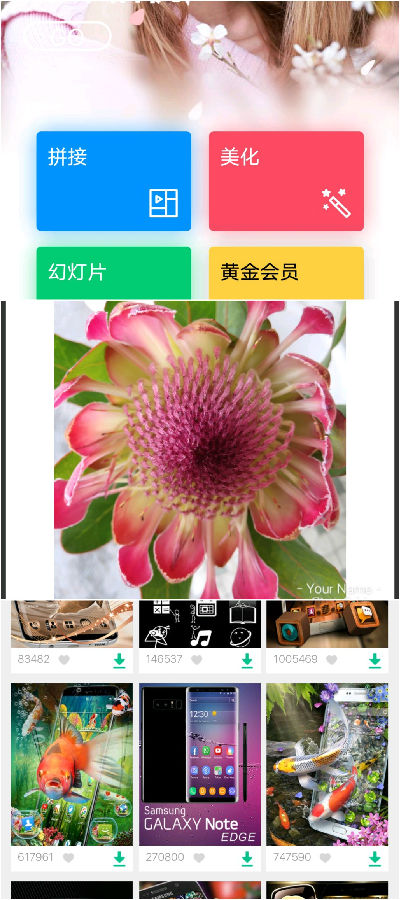 PhotoGrid���İ�