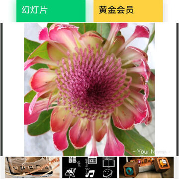PhotoGrid中文版 PhotoGrid中文版
