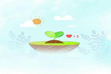 �ױ�������