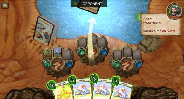 ����Evolution����
