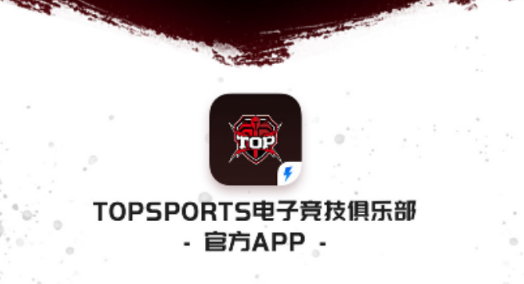 TOP���ֲ�
