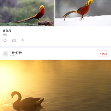 ����