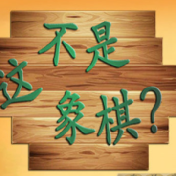 这不是象棋 这不是象棋