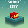 Snake City(�߳ǹ���)v1.1 ��׿��