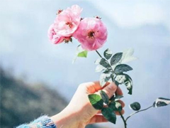����������ֹ���˸�˵˵��ȫ �뵽����ѹ�˯���ž����˸�˵˵