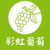 �ʺ�����v1.0.1 ��׿��