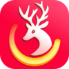 �н�����appv1.1.0 ���°�