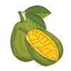 ������appv1.0.3 ��׿��