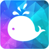 ��������APPv4.2.5 ��׿��