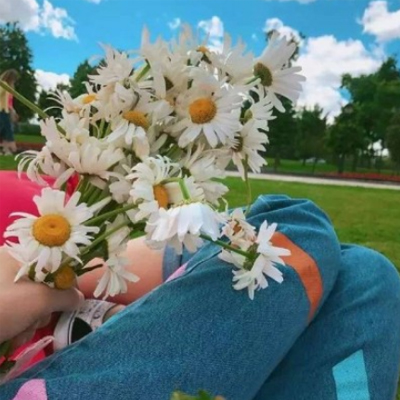 2019����̤�������Ȧ��˵˵��ȫ �ʺϴ��γ�ȥ���΢������˵˵