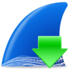 Wireshark��ɫ��Я��v3.4.8 �������İ�