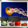 ��ҳͼƬ�ռ������v2.0.2.904 �ٷ���