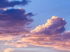 ��������Ȧ������־˵˵2019 ������Զ����������