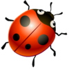 ����Ӧ��ƽ̨v2.9 ��Ѱ�