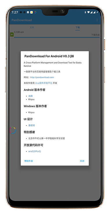 PanDownload��ʽ��