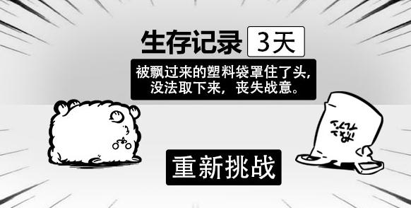 ���������Ӯ�ڹ���