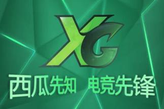 西瓜先知 西瓜先知