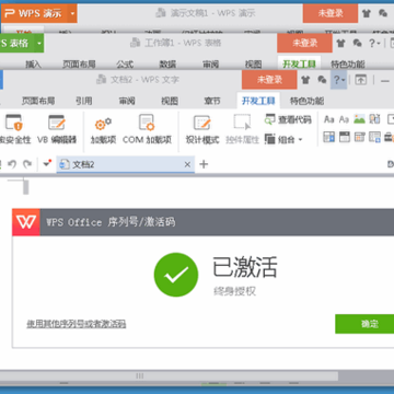 WPS Office 2019רҵ��