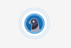 ��������app