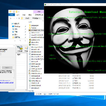 Internet Download Manager