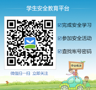 ��ȫ����ƽ̨app