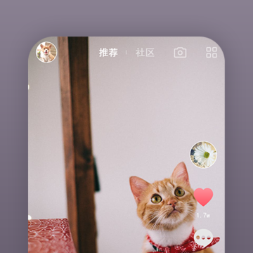 �䳲e����