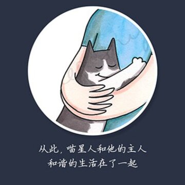 猫猫叫 猫猫叫