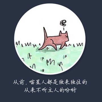 猫猫叫 猫猫叫