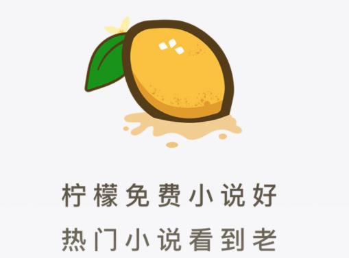 �������С˵app