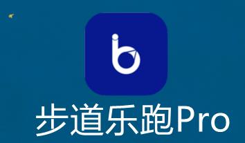 ��������Pro