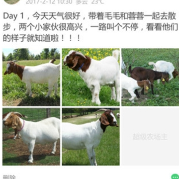 超级农场主 超级农场主