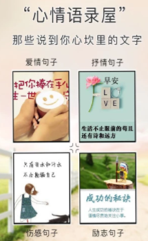 ������¼��app