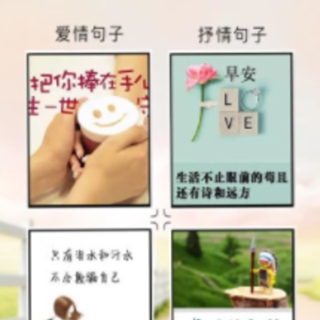 ������¼��app
