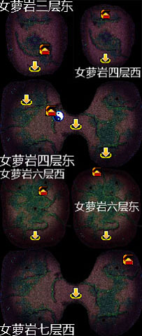 点击查看大图