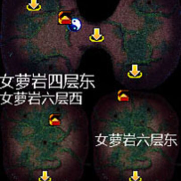 点击查看大图