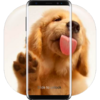 Dog Licks Lock Screen������ֽv2.0 ��׿��