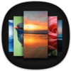 Apex Wallpaper(Apex��ֽ)v1.5.0 ��׿��