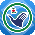 ҽ������ǣappv1.0.40 ���°�