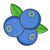 ��ݮתv1.0.0 ��׿��