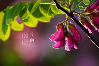 2019������д������������Ӻϼ� �������⾳�Ĺ������