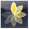 Express Animate(������������)v3.12 �ٷ���