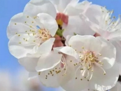 2019����ȫ����־˵˵���Լ� ������Ȧ��־��������¼