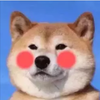 ��ӰͼƬ����v1.0 ��׿��